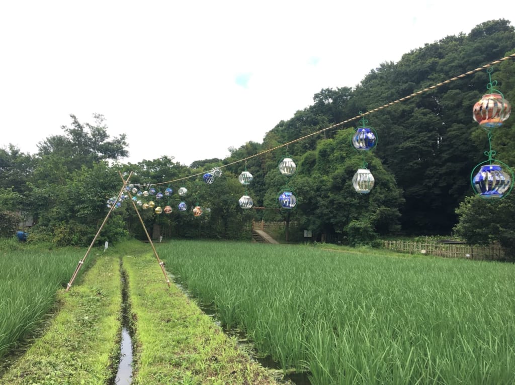 大沢の里