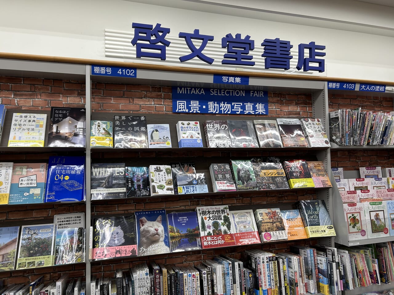 三鷹コラル　啓文堂書店