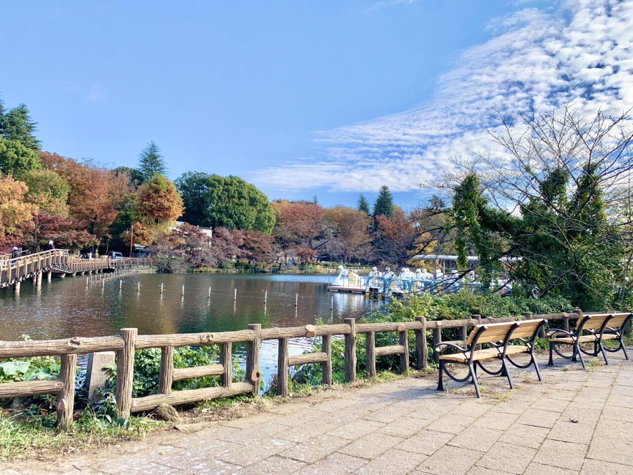 井の頭公園