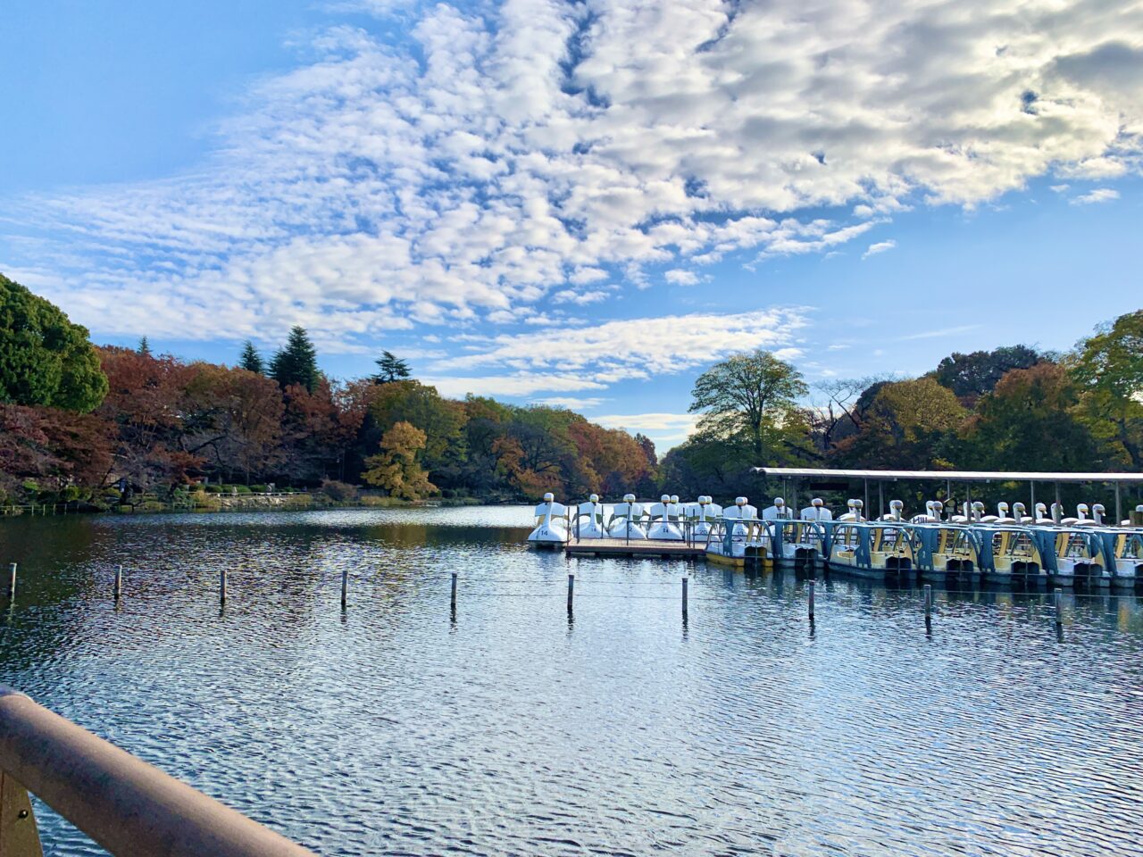 井の頭公園