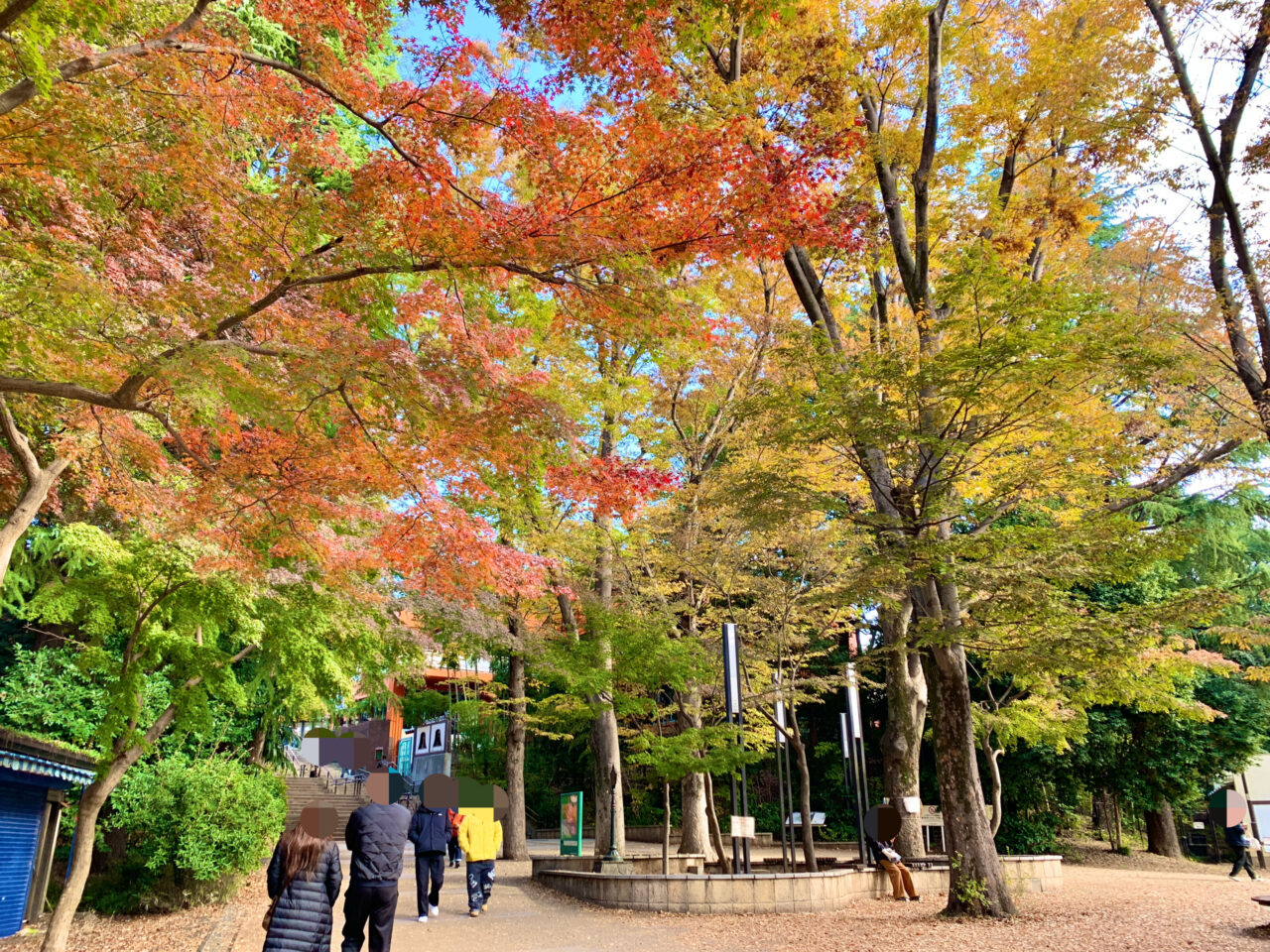 井の頭公園