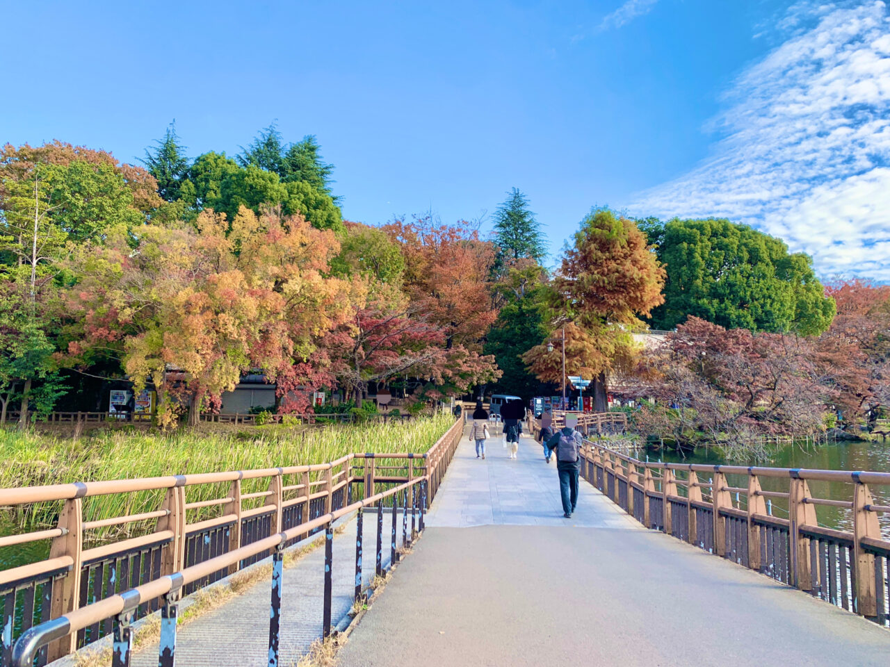 井の頭公園