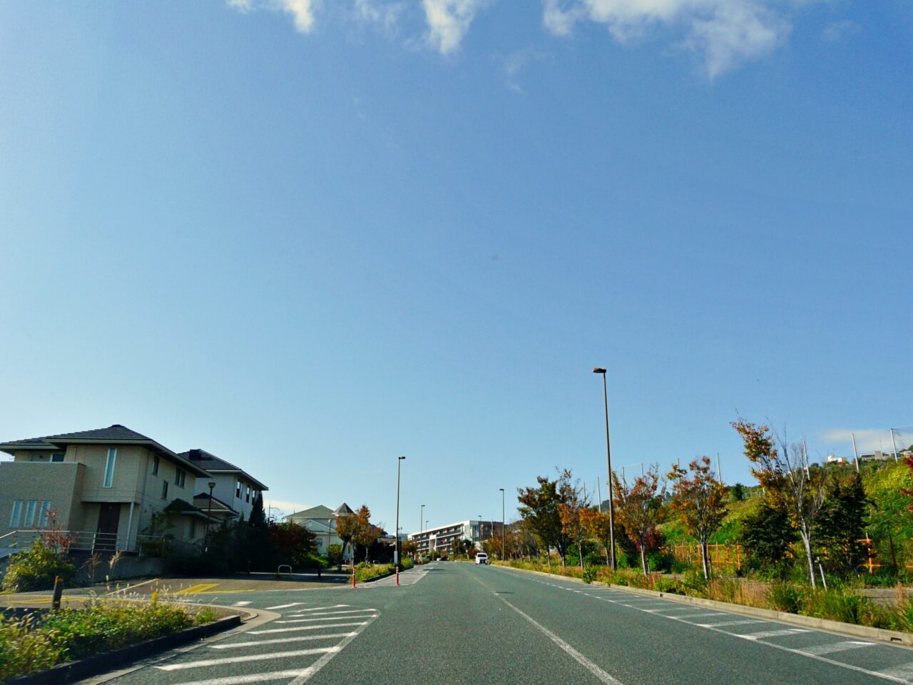 道路