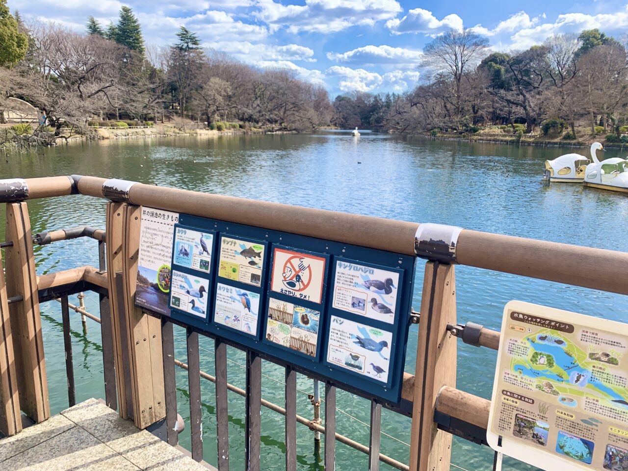 井の頭恩賜公園