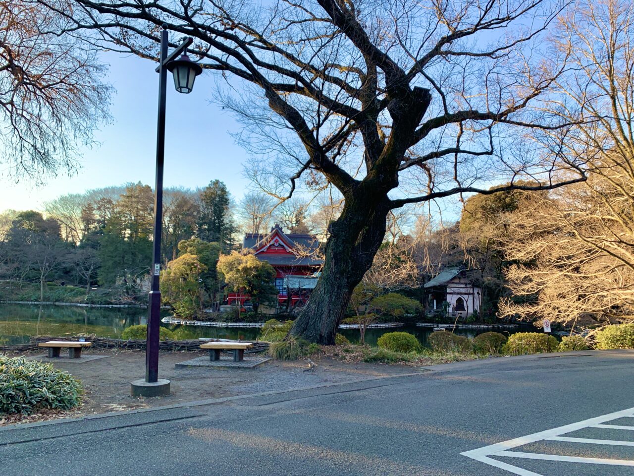 井の頭恩賜公園