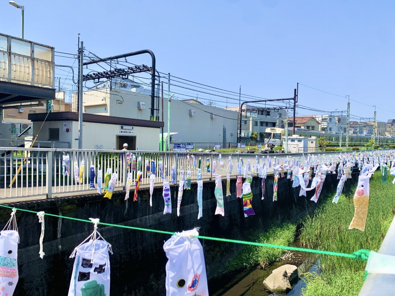 神田川こいのぼり