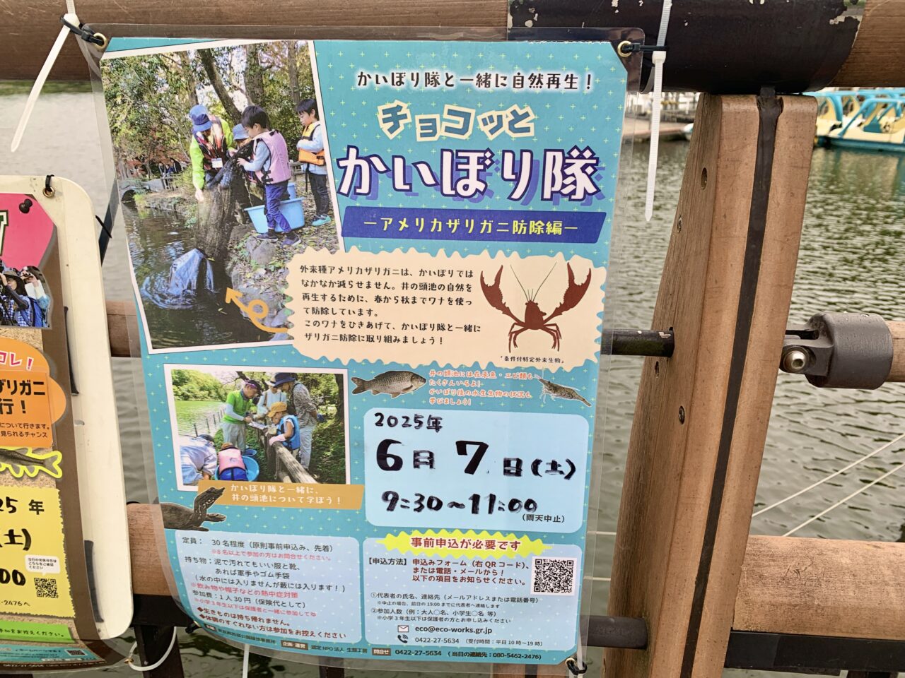 かいぼり