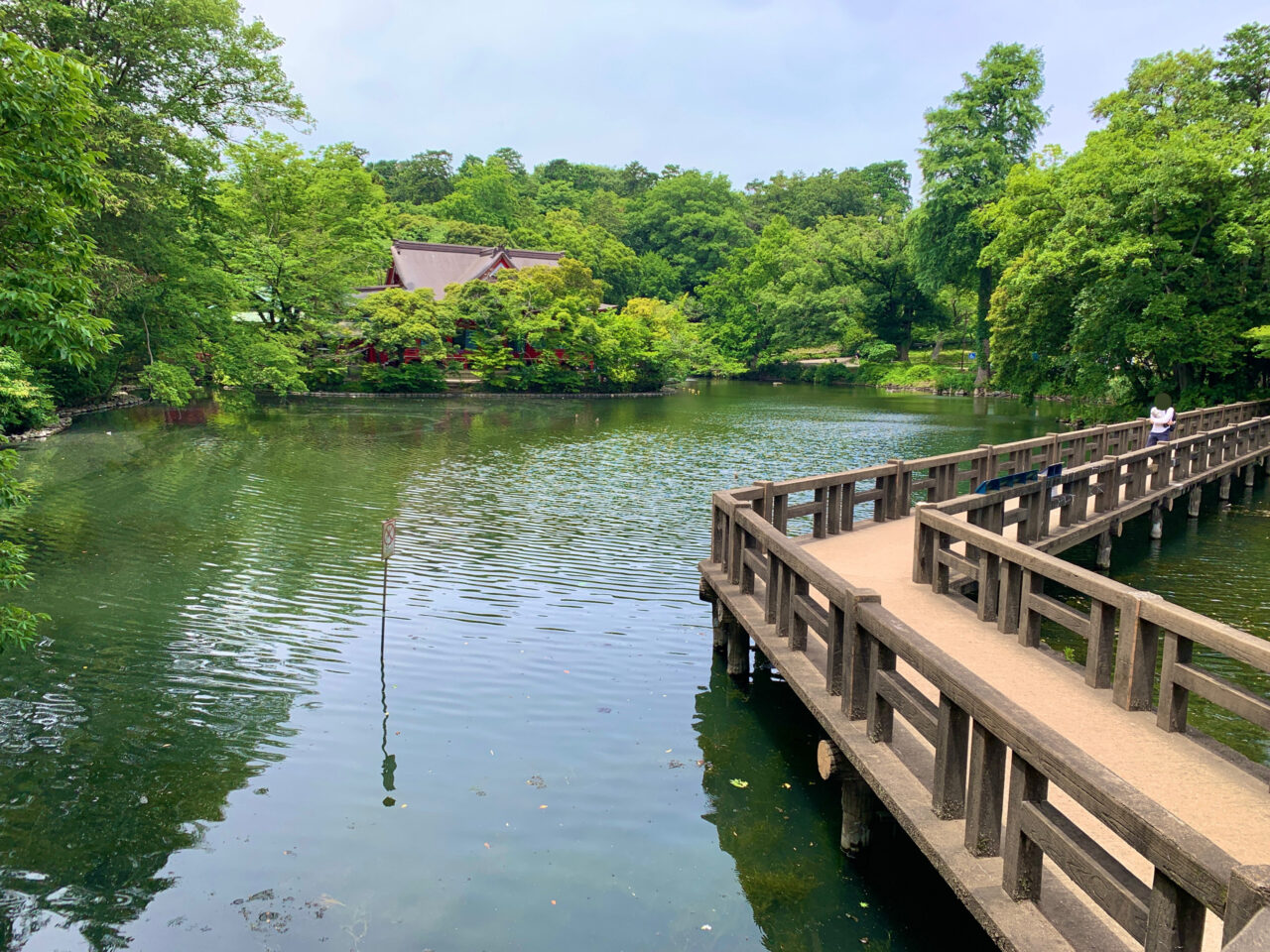 井の頭恩賜公園