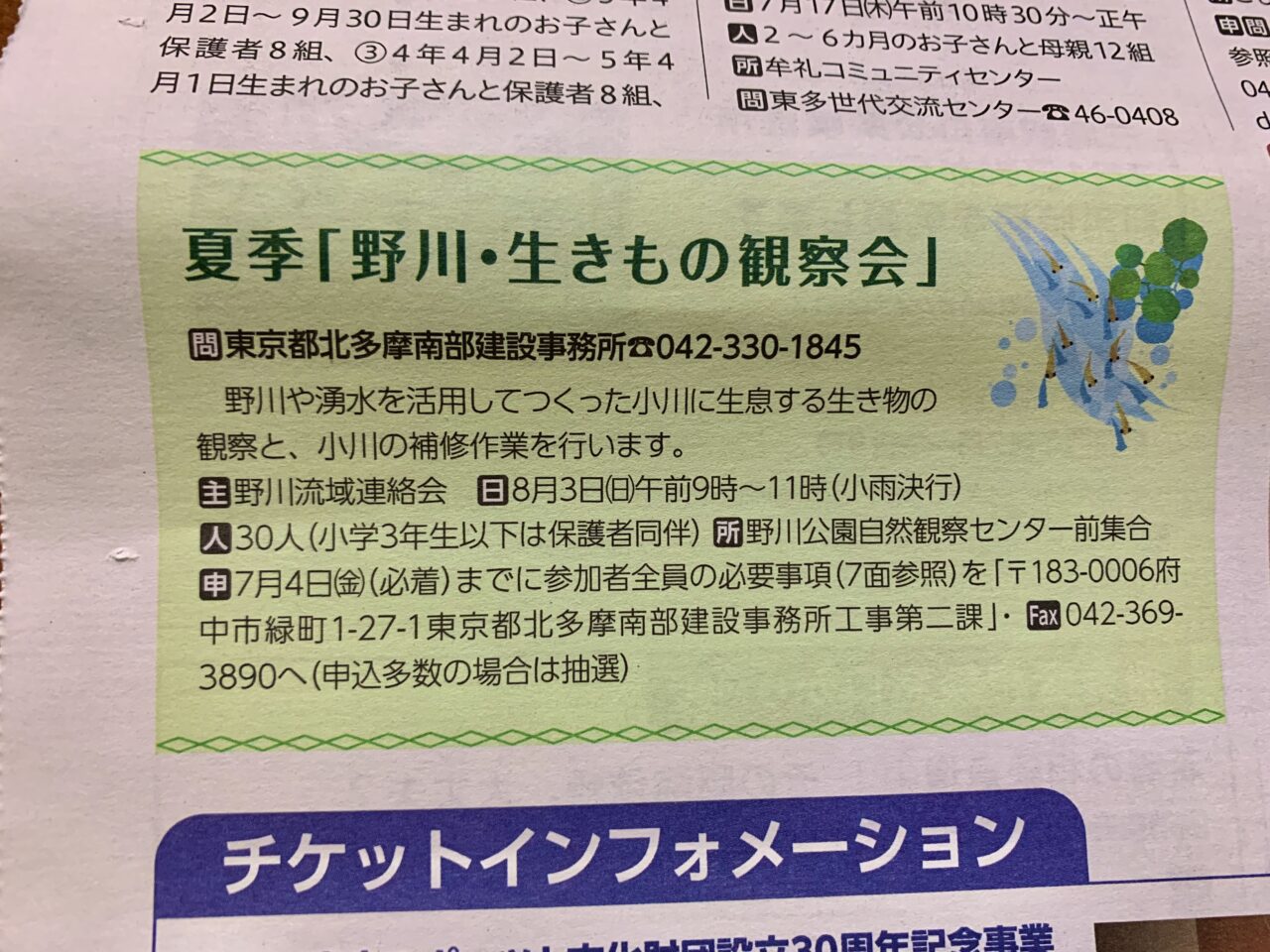 野川・生きもの観察会