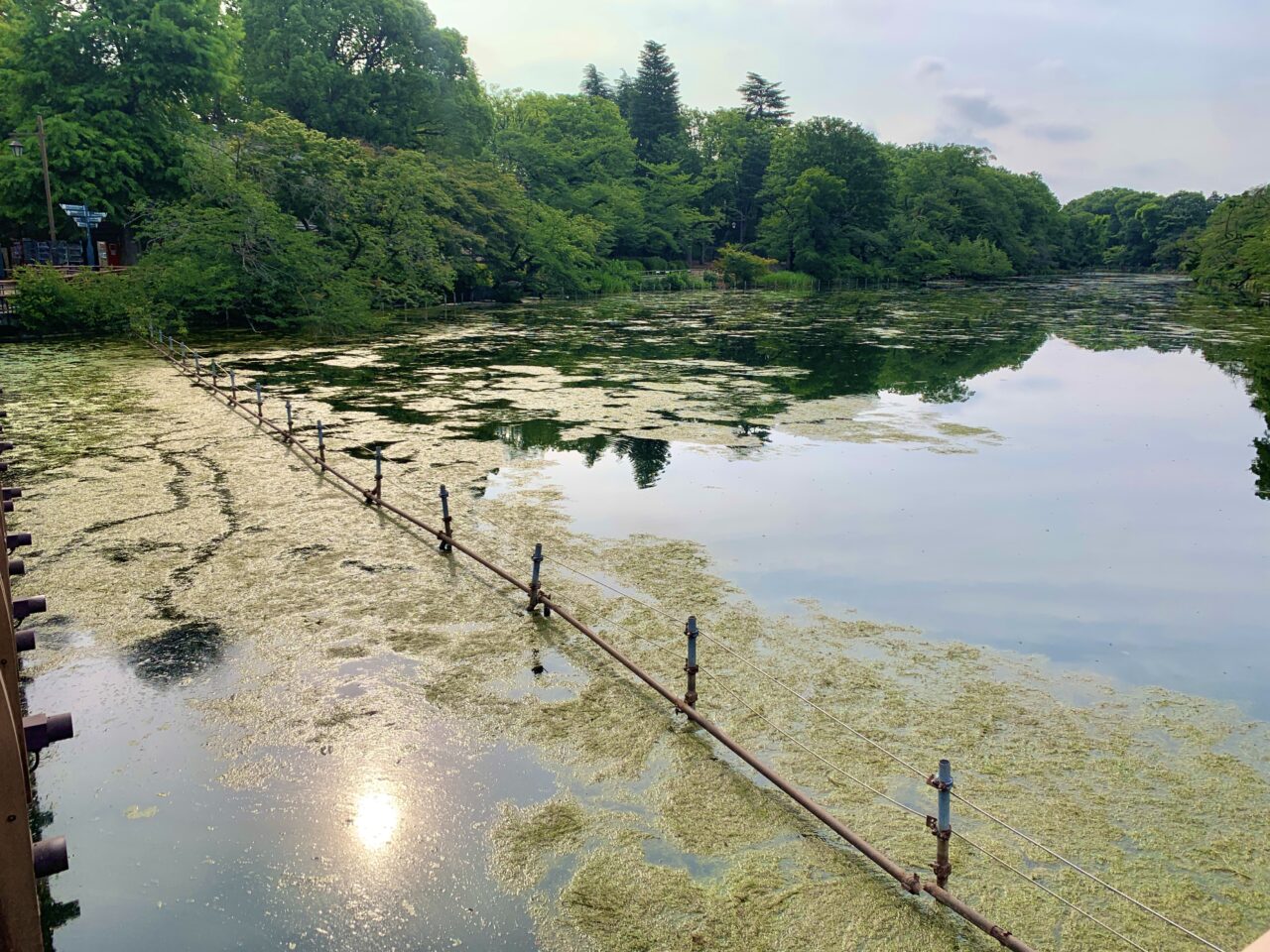 井の頭恩賜公園