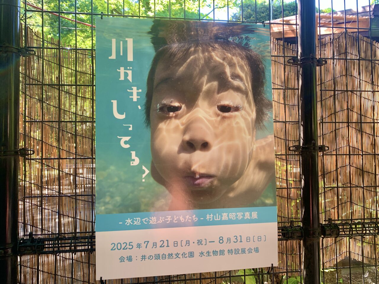 川ガキ 写真展