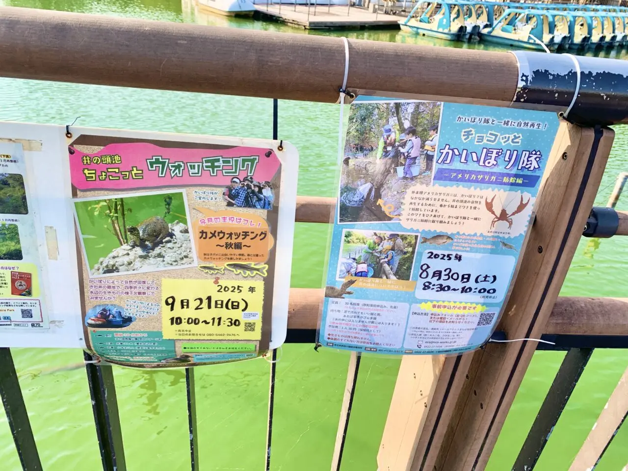 かいぼり