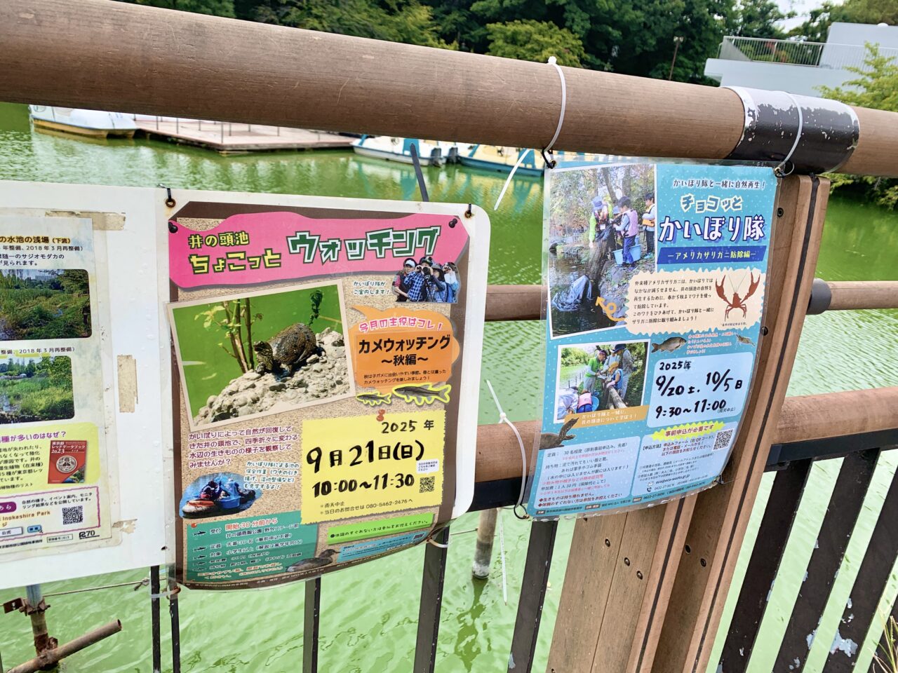 かいぼり