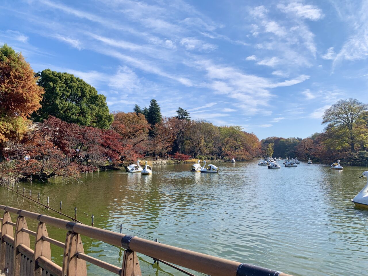 井の頭恩賜公園