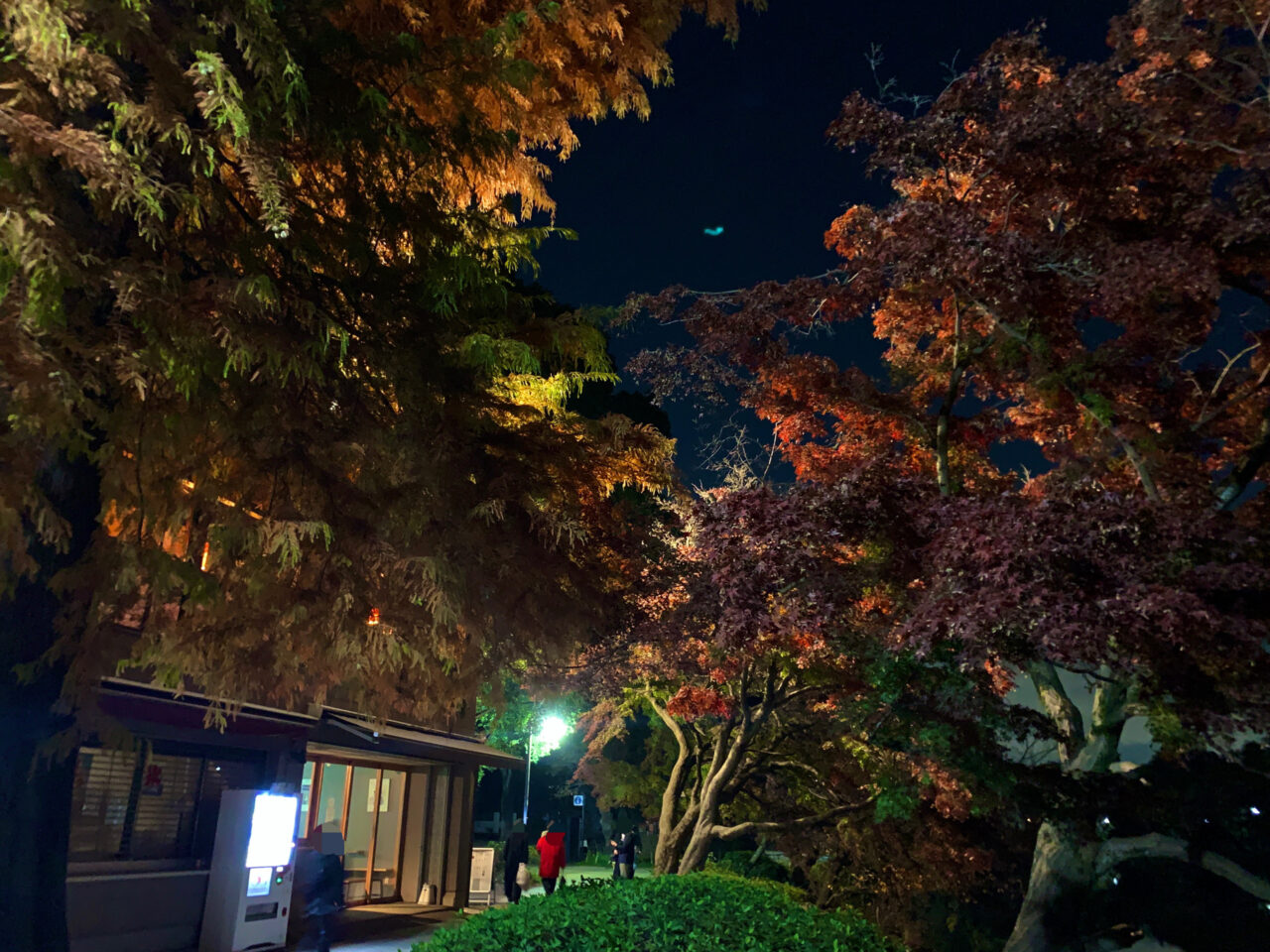 井の頭恩賜公園