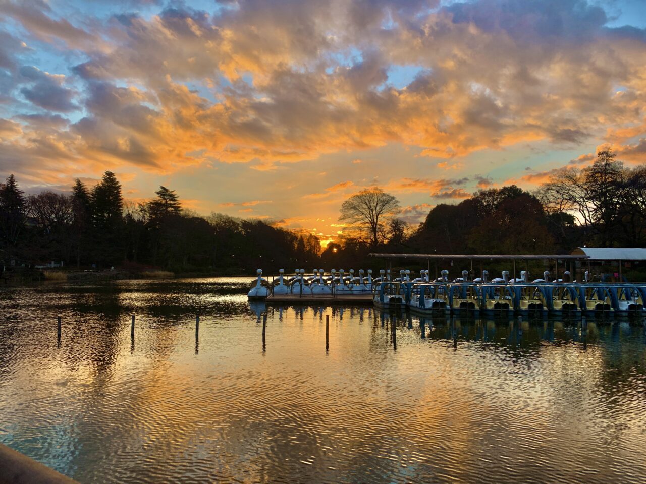 井の頭自然文化園