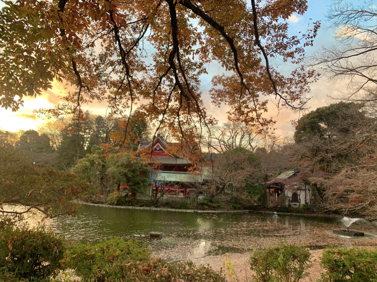 井の頭自然文化園