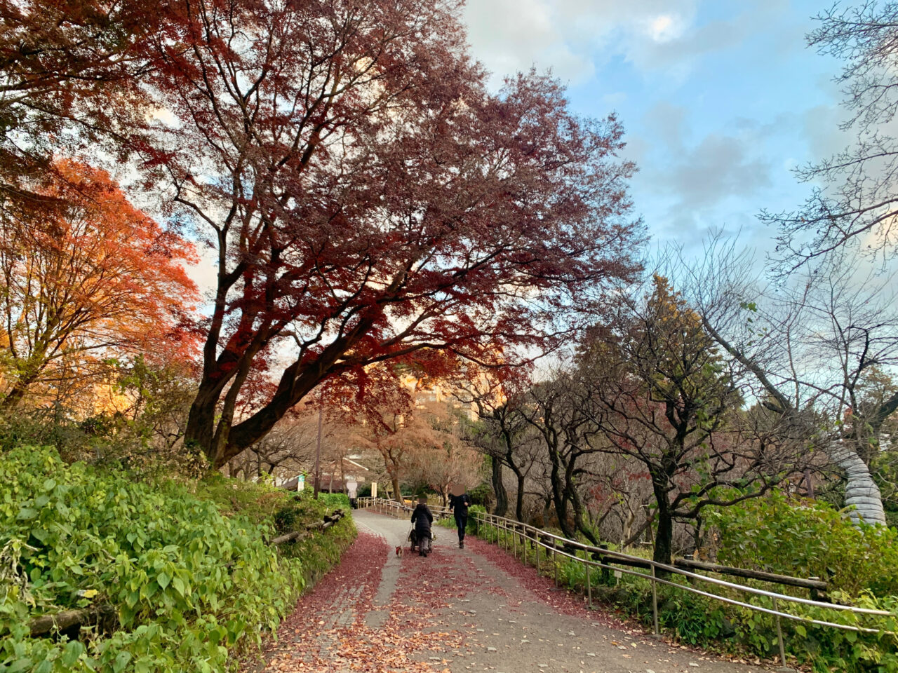 井の頭自然文化園
