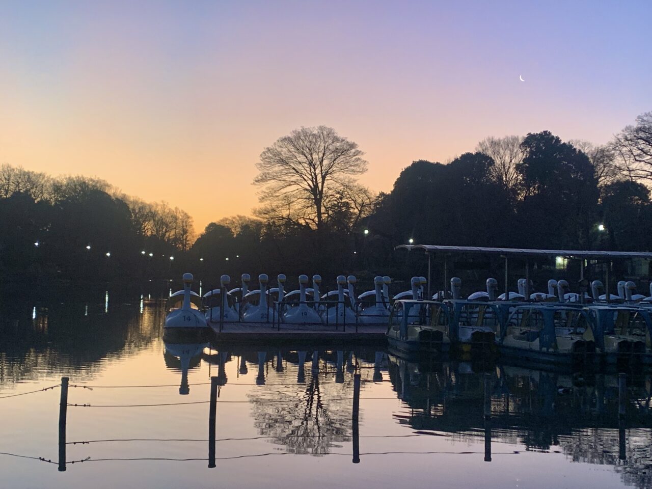 井の頭恩賜公園