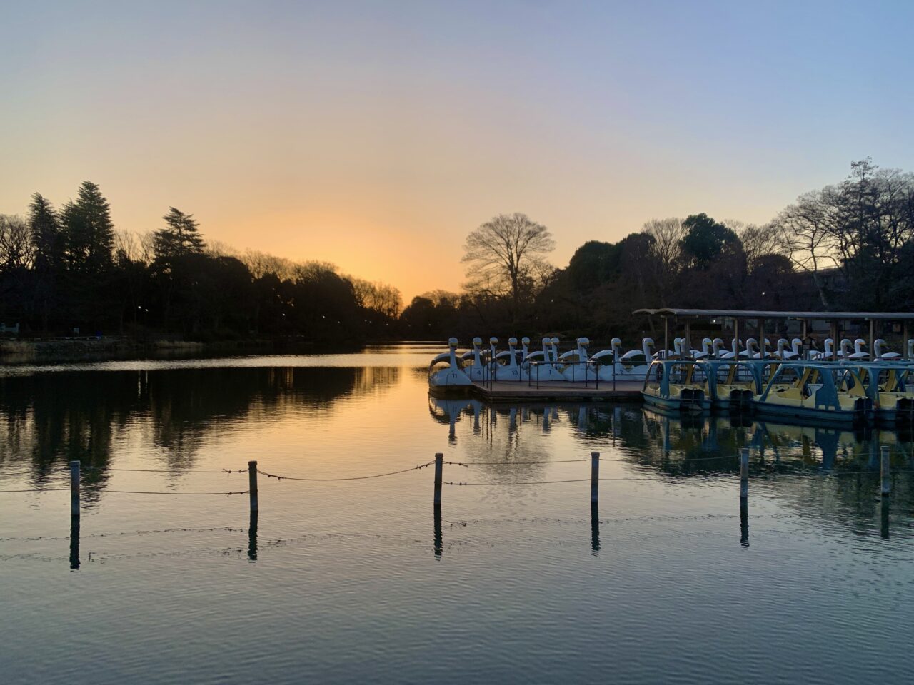 井の頭恩賜公園