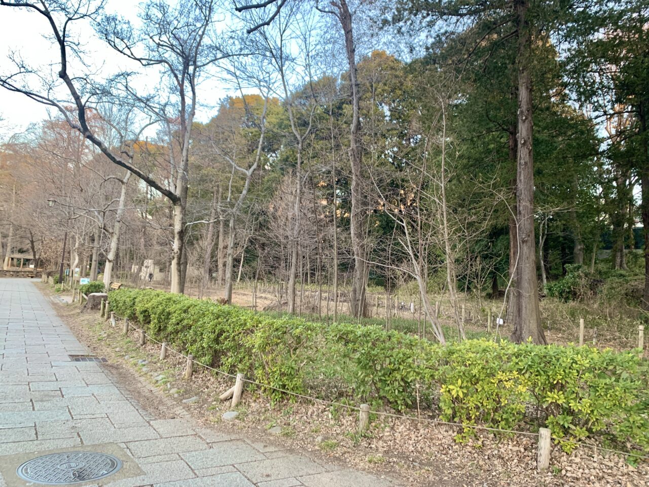 井の頭恩賜公園