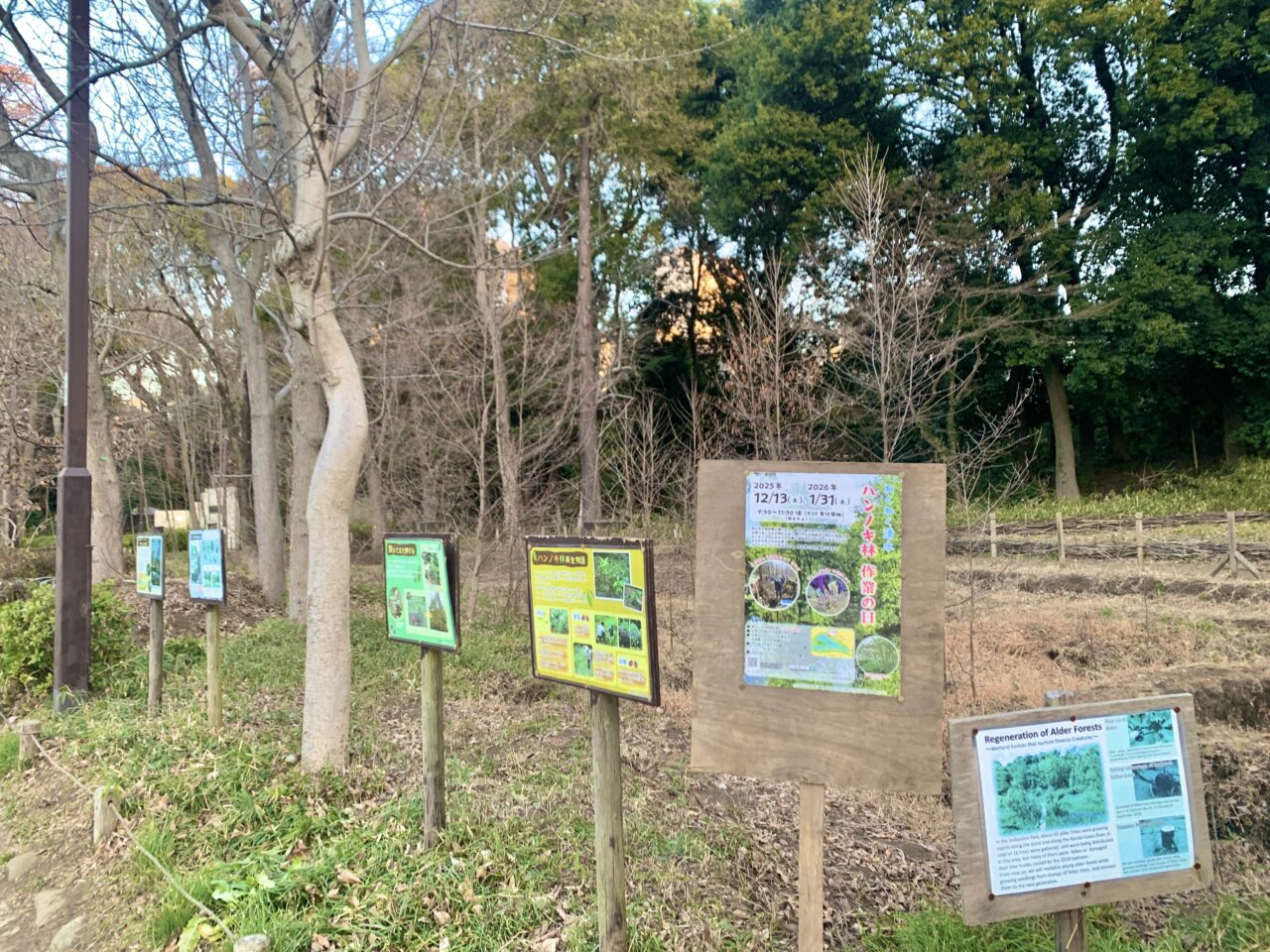 井の頭恩賜公園