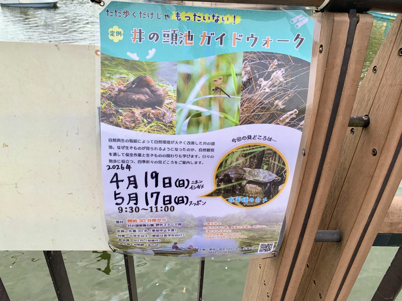 井の頭池ガイドウォーク