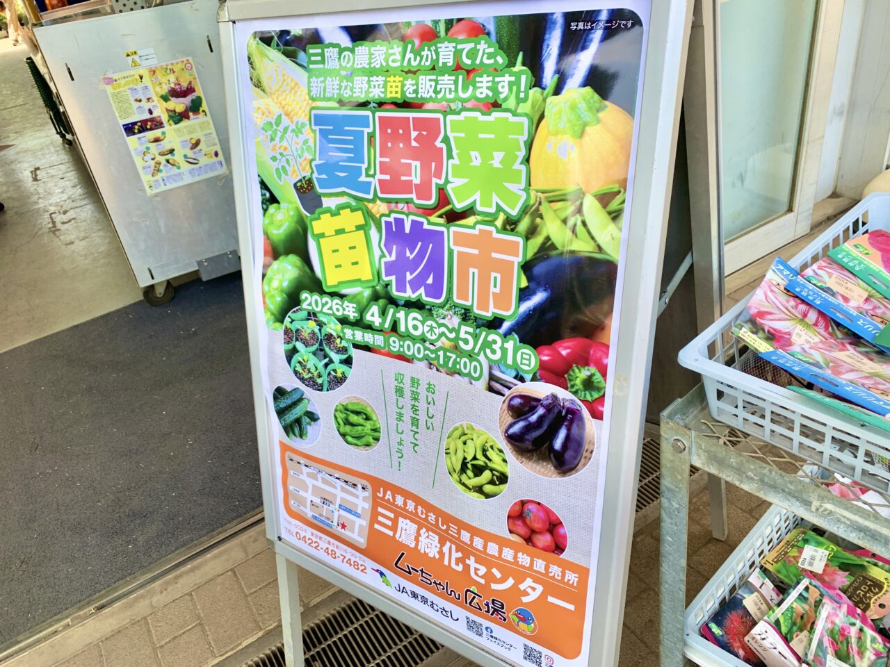 夏野菜苗物市