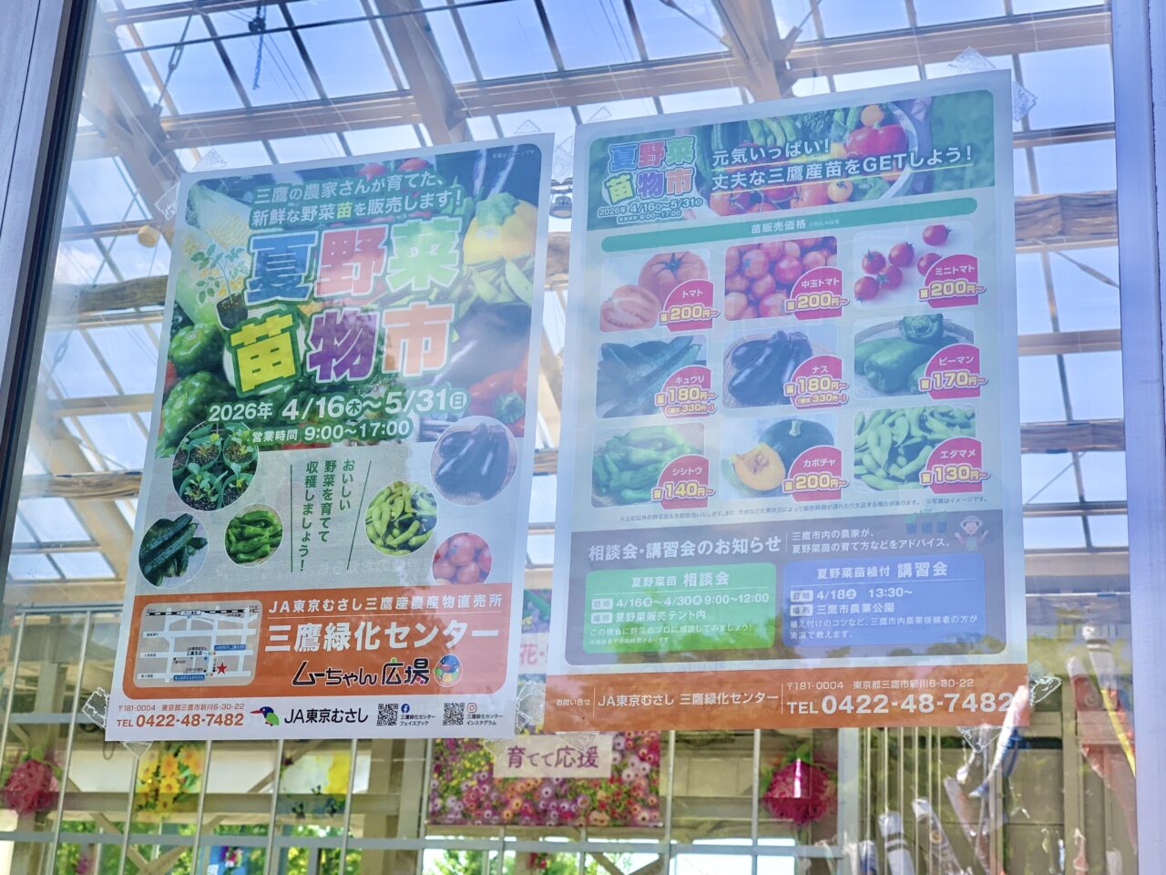 夏野菜苗物市