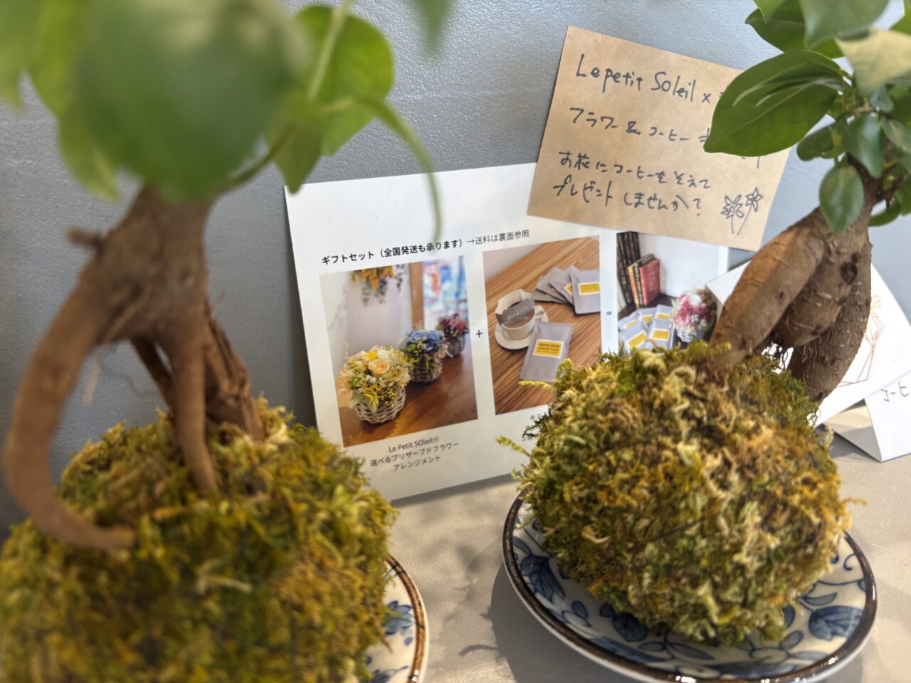 三鷹市下連雀にある「キミノコーヒー」のお花