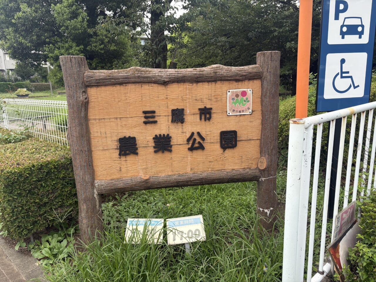 三鷹市大根の種まき講習会が行われる農業公園
