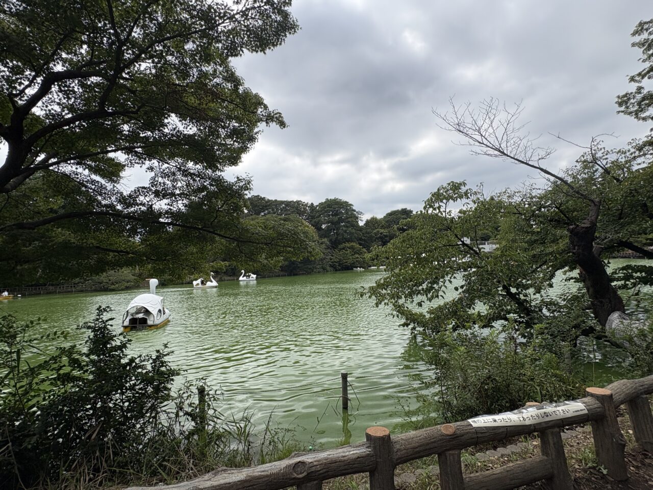 三鷹特集が放送される「出没！アド街ック天国前回
