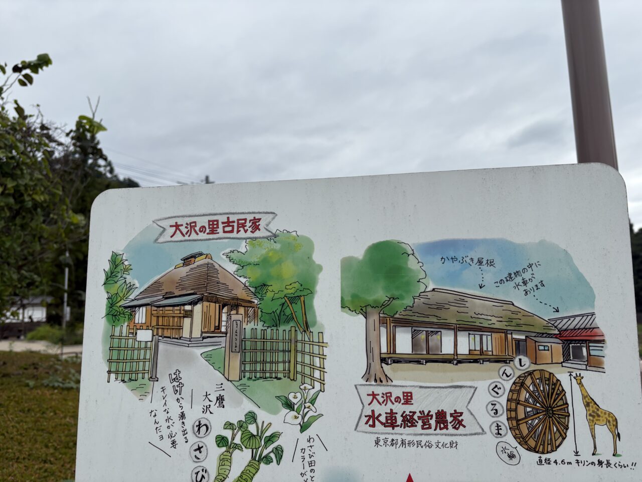 大沢の里看板