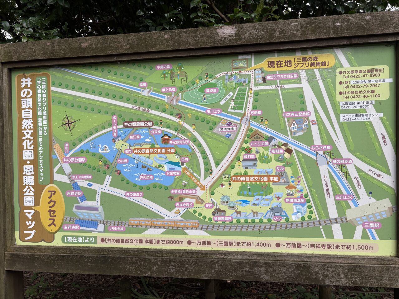 オーガニックフェスタ in 井の頭公園 地図
