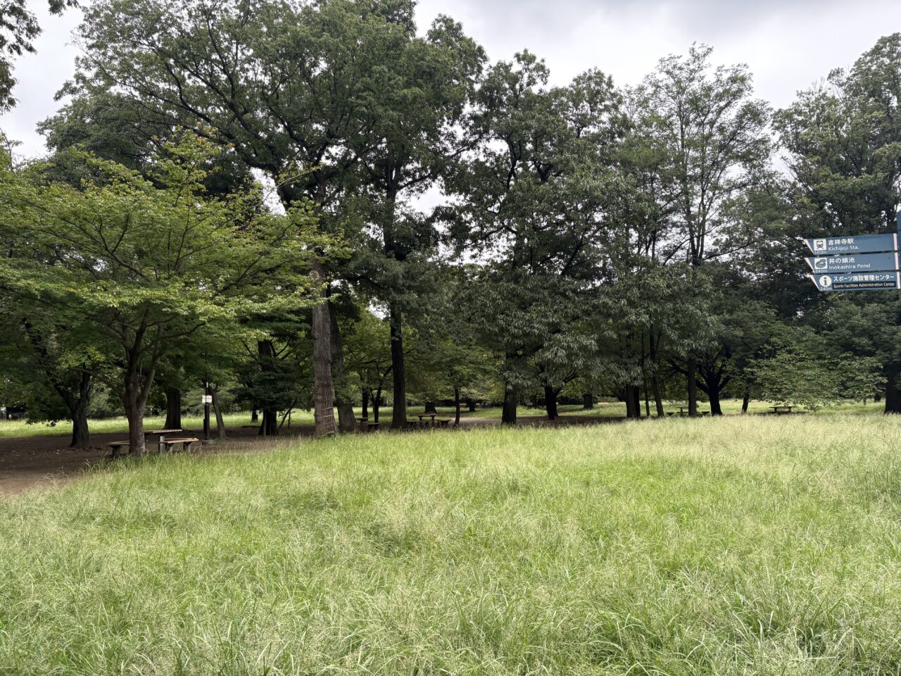 オーガニックフェスタ in 井の頭公園 会場