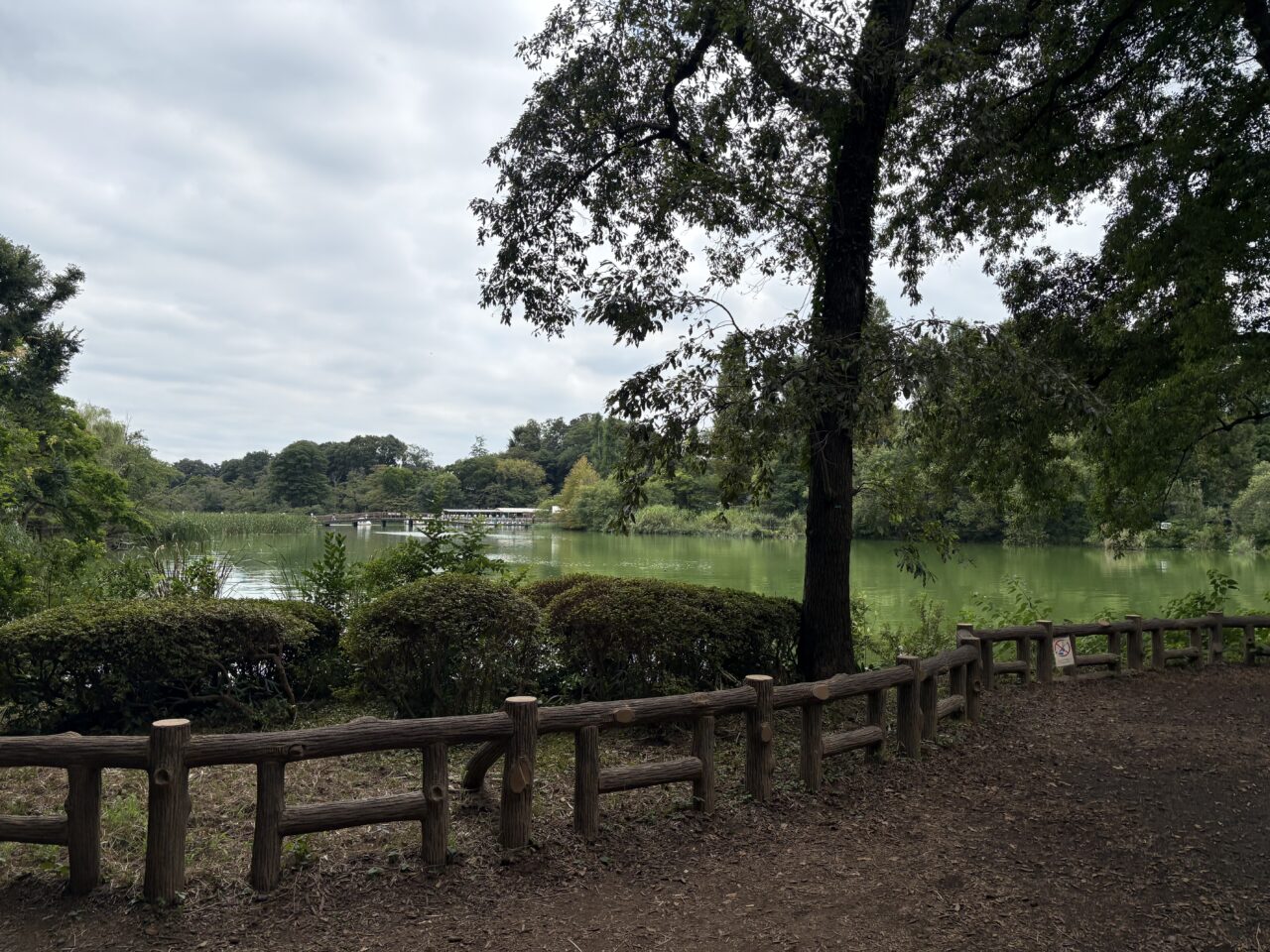アド街ック天国井の頭恩賜公園