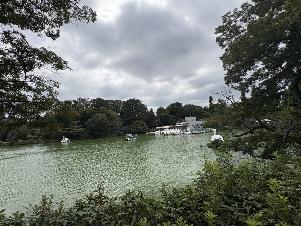 スタンプラリー都立井の頭恩賜公園