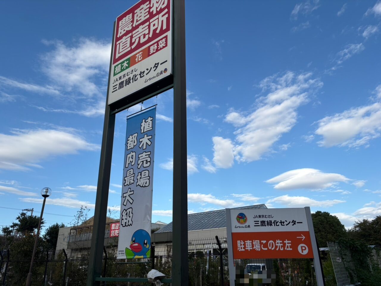 三鷹市内で販売される特産のキウイフルーツJA
