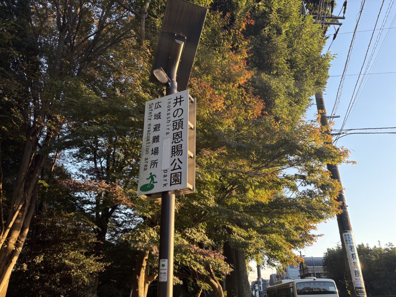  井の頭感謝祭2026開催場所の井の頭公園2